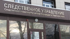 Жительница Пермского края подозревается в истязании малолетней дочери