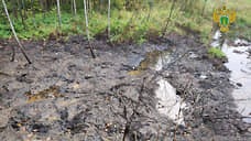 По факту загрязнения почвы в Пермском крае возбуждено уголовное дело