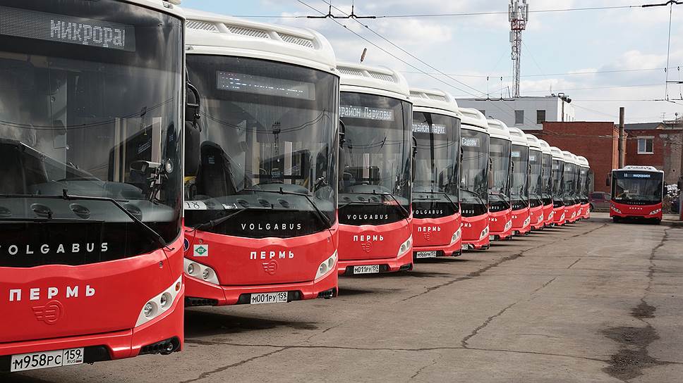 МУП «Пермгорэлектротранс» начинает работу на шести маршрутах: №2, 3, 11, 36, 60 и 62. На этих маршрутах, как и на электротранспорте, будут действовать бесплатные пересадки и безналичная оплата проезда. Все автобусы оформлены в едином стиле — «пермском зверином».