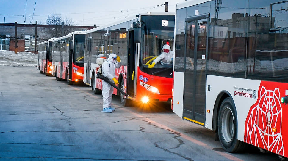 Свои автобусы обрабатывают и частные перевозчики.