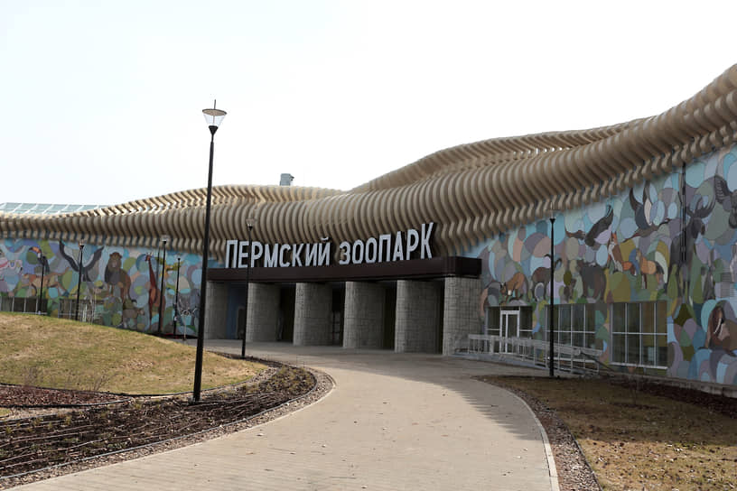 Строительство нового зоосада на территории 26 га велось последние два с половиной года. Открытие объекта неоднократно переносилось. Оценочная стоимость комплекса составляет более 7 млрд руб. Новый зоосад станет полноценным природно-ландшафтным парком и будет включать экспозиции «Обитатели гор», «Лесная мозаика», «Полярный мир», «Страна обезьян и тропический рай», «Африканская саванна», а также контактный зоопарк, в который весной прошлого года перевезли около 300 животных. Точная дата открытия нового зверинца пока неизвестна. &lt;br>На фото: вход в новый пермский зоопарк на Нагорном, 2025 год&lt;br>&lt;br>   
