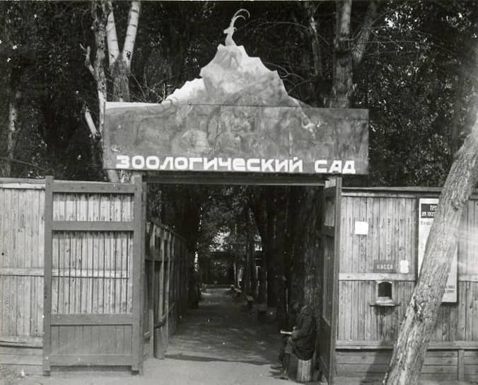 Официально пермский зоосад был открыт 1 августа 1933 года, однако начал работу еще в 1922 году на базе «Уголка живой природы» при Пермском областном краеведческом музее. Первыми живыми экспонатами были бурая медведица Машка, пять лисят, два лосенка, две косули, три филина, гнездо мохноногих сычей, подорлик и куропатка. Директором зоосада назначили Павла Куклина. &lt;br>На фото: вход в пермский зоосад, 1928 год&lt;br>&lt;br>   
