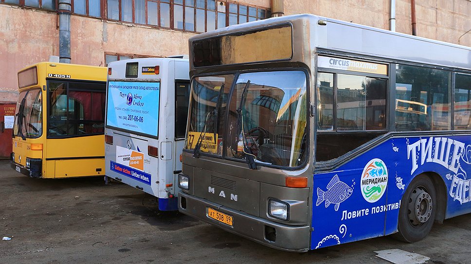 65% автобусного парка Перми составляют подержанные автобусы иностранного производства