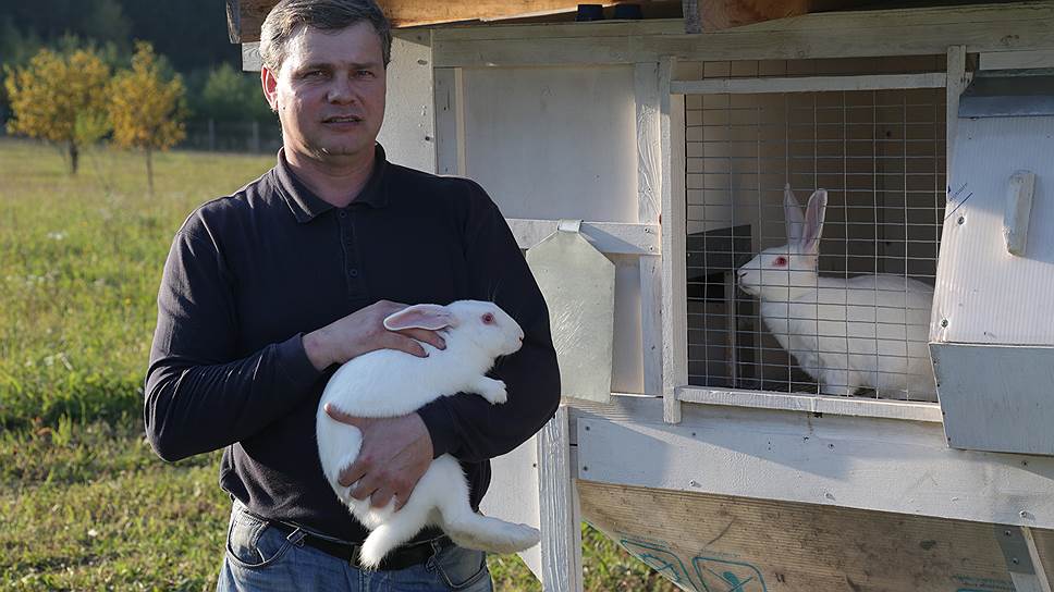 Владелец кроликовой фермы отмечает увеличившийся спрос на свою продукцию после введения санкций