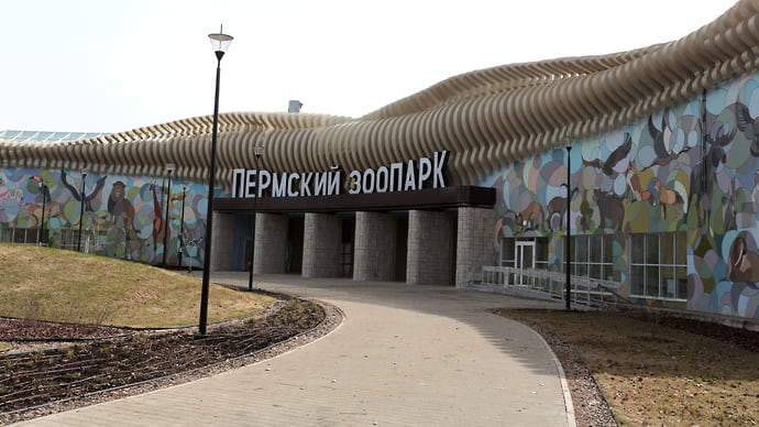 Если вам немного за 300