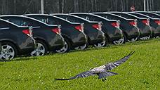 GM отдохнет больше всех