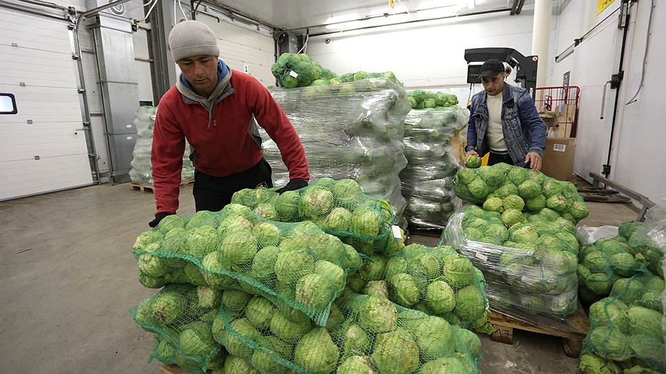 Благодаря компьютеризированной системе логистики в новом центре будет обеспечиваться короткий срок доставки товара «с поля на прилавок» — всего за 36 часов