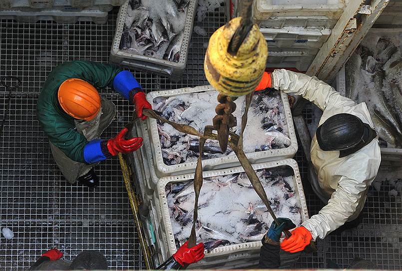Остановка работы Мурманского рыбного порта вынудит рыболовные компании разгружать рыбу в Калининграде и Петербурге