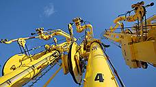 Петербургский нефтяной терминал заработал на дизеле и керосине