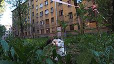 Молодежь подождет Кондратьевский жилмассив