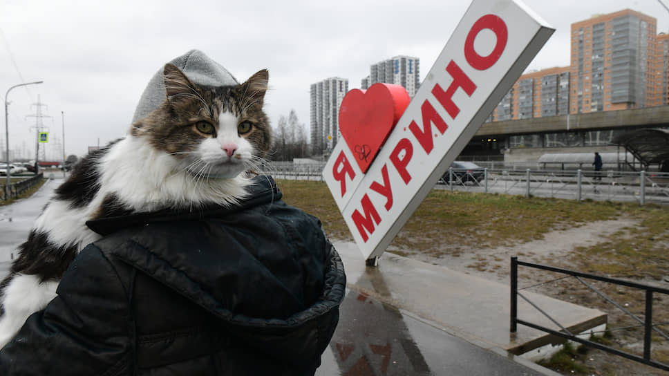 Ленобласть ставит невидимые кордоны