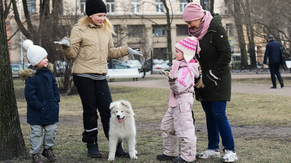 Зеленые нахождения