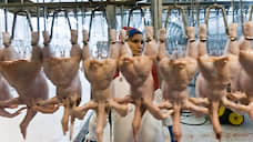 CP Foods кружит над Китаем