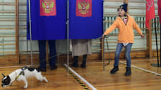 Цифровые ожидания