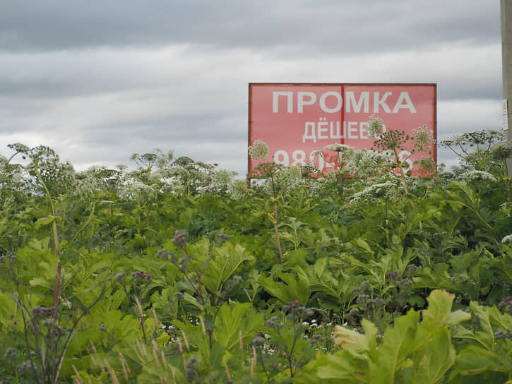 Основные затраты инвестора при создании парка связаны с инженерной подготовкой участков, подключением к дорожно-уличной сети, созданием проекта. На это потребуются миллиарды рублей