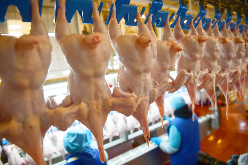 Русско-Высоцкая птицефабрика — крупный производитель мяса птицы, который с апреля находится в простое
