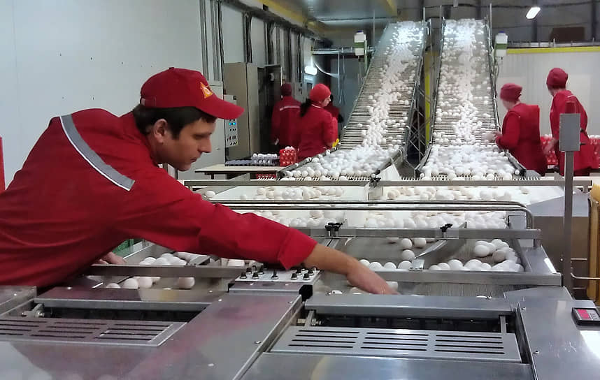 По данным «Ростицесоюза», в прошлом году Синявинская птицефабрика выпустила 1,6 млрд штук яиц, заняв 5% российского рынка