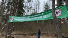 Защитники Шуваловского леса проиграли в третьей инстанции