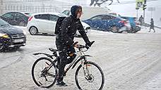 Протяженность петербургских велодорожек выросла на 15 км