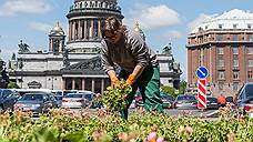 В Петербурге весной высадят 8 млн цветов