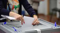 Придомовое голосование в Ленобласти проведут 408 участковых избирательных комиссий