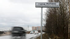 В Мурино планируется построить административно-деловой центр за 1 млрд рублей