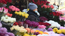 Объем поставок цветов в Петербург и Ленобласть в 2020 году сократился в пять раз