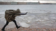 Петербуржцев снова предупредили об ухудшении погоды из-за ветра и гололеда