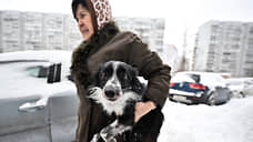 В Петербурге предложили «легко» покусанных собаками сразу отправлять в полицию