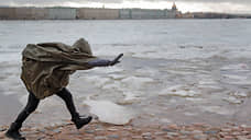 МЧС предупредило об ухудшении погодных условий в Петербурге из-за ветра