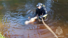 Пожилой мужчина утонул в реке Сестра на глаза у отдыхающих в Белоострове