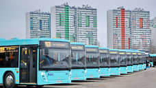 «Пассажиравтотранс» выпустил на маршруты в Петербурге почти 350 новых автобусов