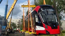 До конца 2025 года Петербург получит 17 трамваев «Львенок»