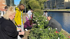 В Петербурге стартовал фестиваль «День Коломны»