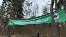 Второй апелляционный суд вернул Шуваловскому лесу статус рекреационной зоны