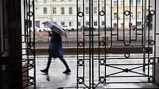 Петербуржцам 18 июня пообещали до +20 градусов и дождь во второй половине дня