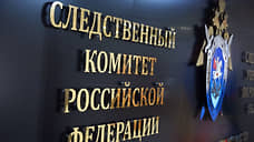 Бастрыкин потребовал доклад по делу о наезде электросамоката на петербурженку