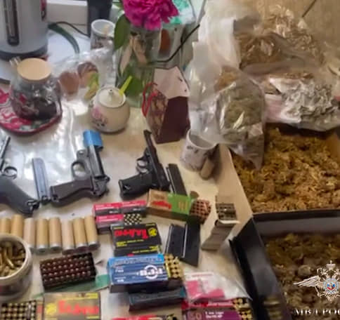 Пистолеты, патроны и кусты марихуаны нашли в садовом товариществе Ленобласти