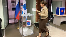 Все избирательные участки в Ленобласти открылись вовремя, несмотря на атаки БПЛА