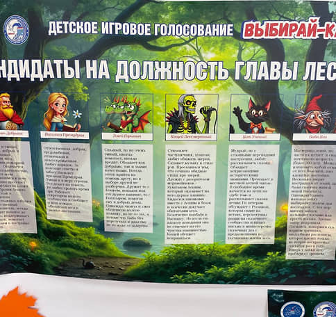Голосуем «по-взрослому»: в Ленобласти впервые проходят детские выборы