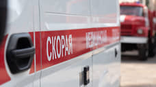 Два человека погибли и один пострадал в результате пожара в поселке Горелово