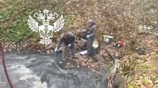 Источник загрязнения Охты нашли в Петербурге после сообщений о мертвой рыбе