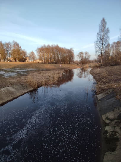 Загрязнение в Муринском ручье