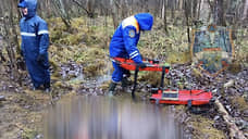 В лесу в Тосненском районе нашли тело пожилой женщины