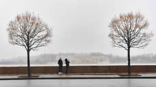 Петербуржцев предупредили о ветре и гололедице на дорогах