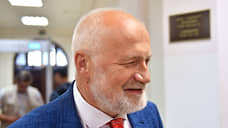 Депутат Амосов сможет избираться в ЗакС несмотря на штраф за экстремистскую символику