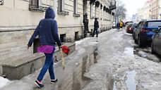 Небольшие осадки и гололедица не порадуют петербуржцев 22 ноября