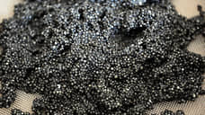 Двум продавцам дали условные сроки за нелегальную реализацию черной икры в Петербурге