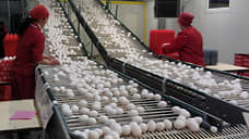 Синявинская птицефабрика отложила расширение производства из-за подешевевшего яйца