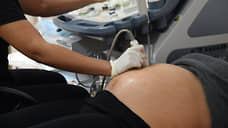 Беременных жительниц Карелии предложили обеспечить пособиями на продукты